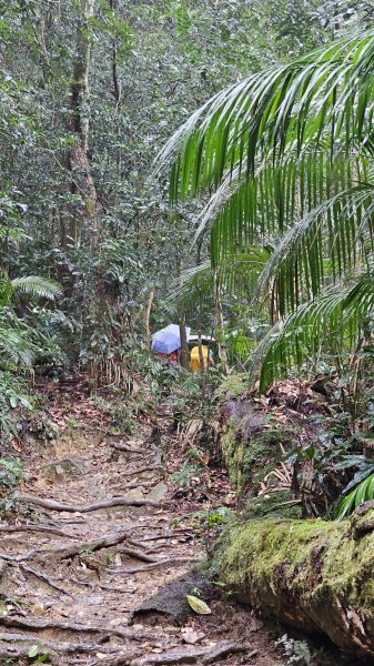 【撤退是智慧而非勇氣】17訪魔王小百岳-尾寮山。2995111