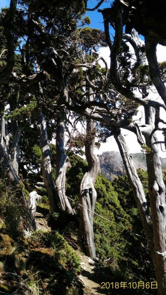 南湖群峰之征服（南湖大山/南湖東峰..)434589