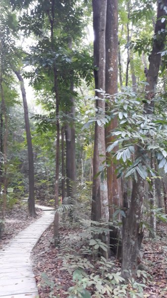 步道巡訪員│四大天王山步道三月巡訪日誌871284