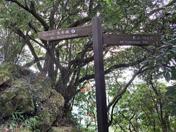 2026微笑山線鳶山彩壁段3104246