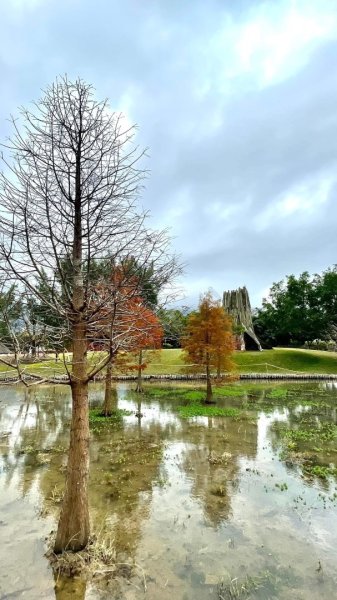 桃園大溪-花彩節🌼李騰芳古厝-月眉落雨松2936526