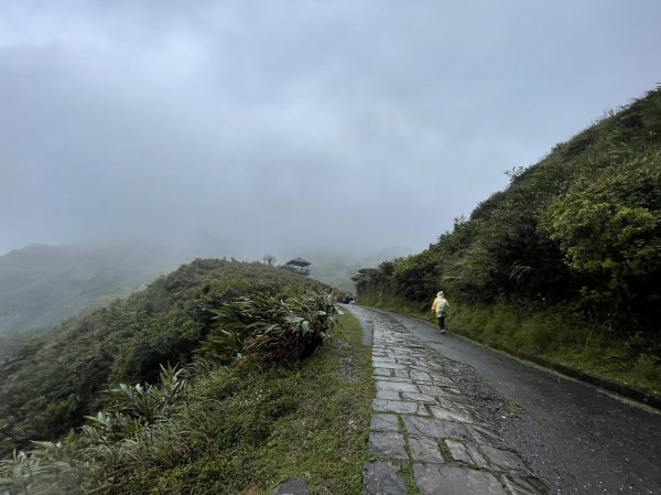 淒風苦雨的灣坑頭山2081180