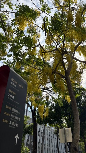 台南一日散策、尋找陽光與記憶的痕跡3055475