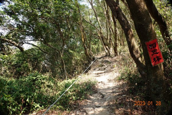 屏東 三地鄉 三地山、三地山南峰2020498