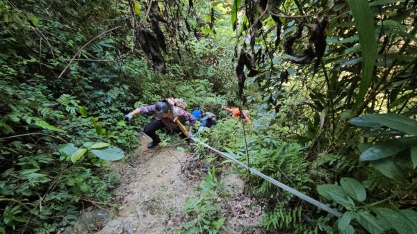 烏桶縱走(烏來山→大桶山)忠治出全紀錄2915207