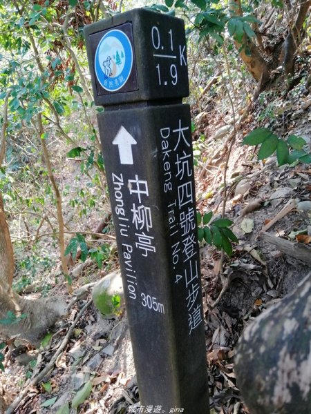 【台中。北屯】台灣百大必訪步道。 大坑四號步道1338776
