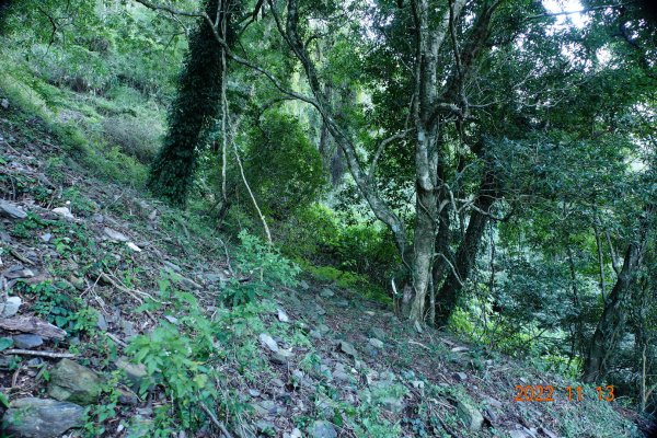 南投 仁愛 再生山(安達山)1913682