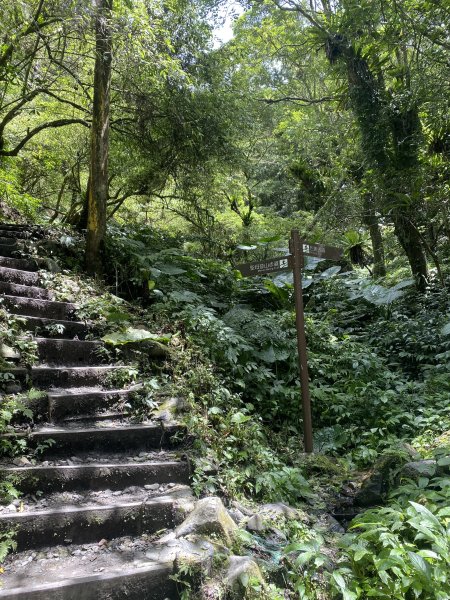 三角崙山及抹茶山3065478