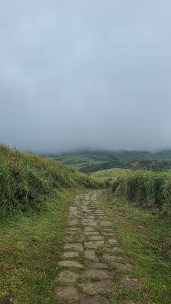 2023-0930冷水坑_絹絲瀑布步道_上切竹篙山_內寮古道2299420