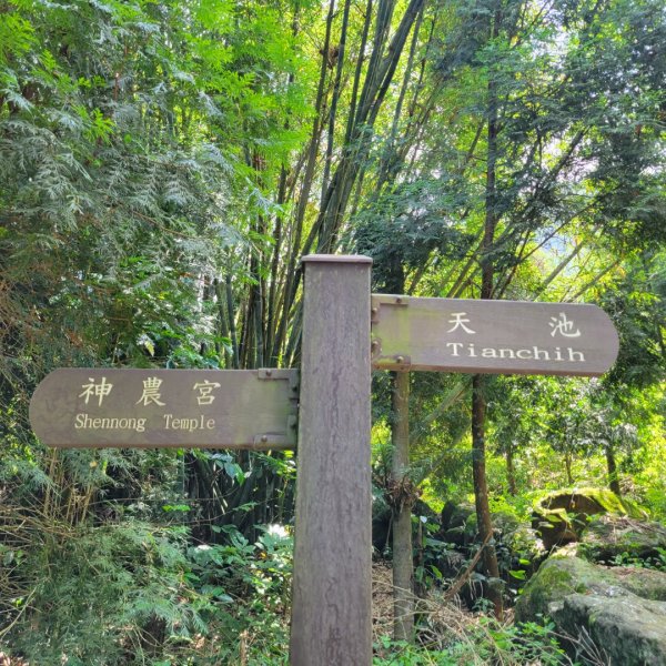 天池步道、龜形山1739084