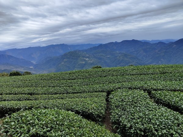 2023.12.30 雲嘉大尖山2840427