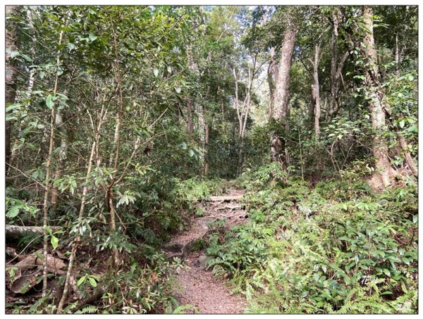 虎山、水雲三星之首 ( 苗栗、泰安 )2977386