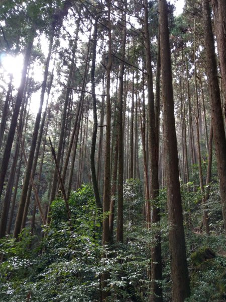 台版富士山「加里山」(小百岳#34) 2020/12/191424795