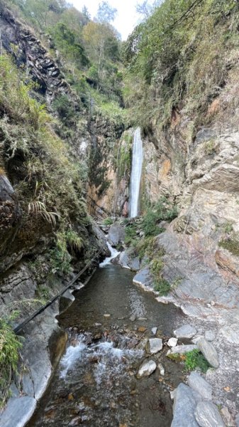 對關追龍貓🚌1970008