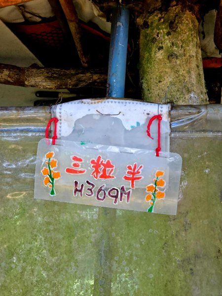 (天上山系)望月亭桐花-2025微笑山線大縱走尋寶集章任務2870353