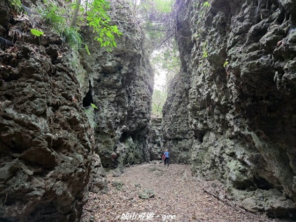 【高雄田寮】小百岳大崗山x大崗山磐龍峽谷步道3013148