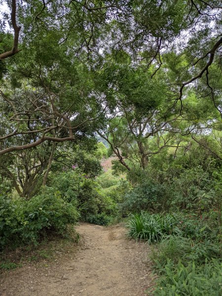 麟光至萬隆 南港山列 福州山 中埔山 芳蘭山1663772