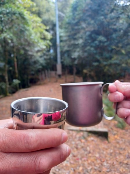 【台中和平】巧遇藍腹鷴帝雉。 稍來山步道2749917