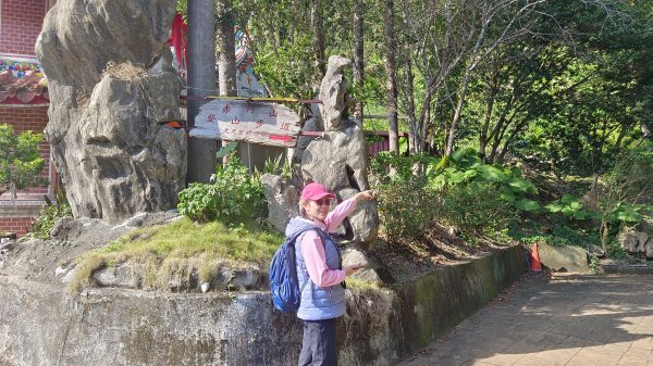 (姨婆趴趴走)第四十六集:新竹關西赤柯山及南峰、東西獅頭山、馬福山環狀縱走2685727