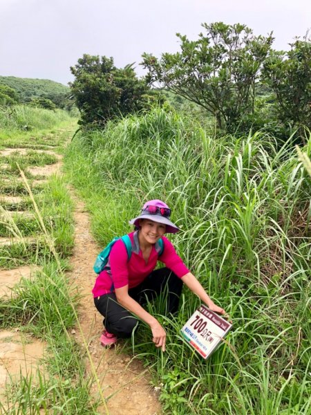 2019-06-05瑞芳南子杏登山步道598532