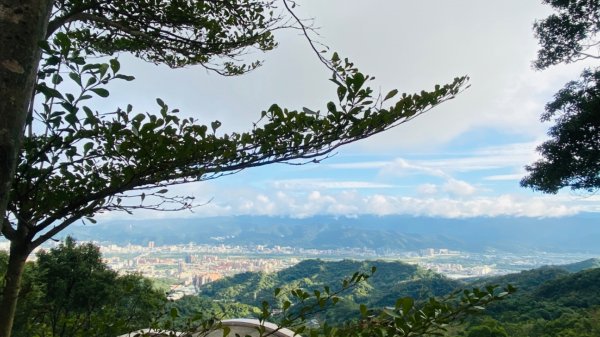 樹林大棟山405高地1222575