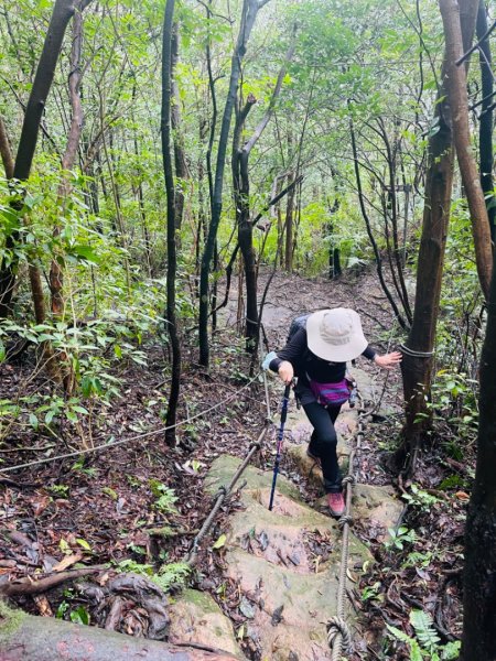 1131225新山夢湖2676513