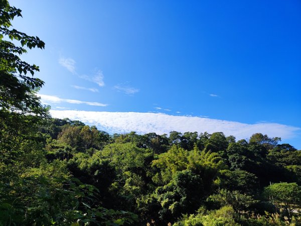 飛鳳山觀日坪古道2656235