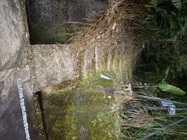 坪林五山縱走 ：九芎根山、金紙崙山、鳥嘴尖山、倒稍楠山、紀州寮山O形2745298