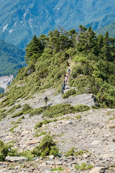 南橫三星兩日包車2882874