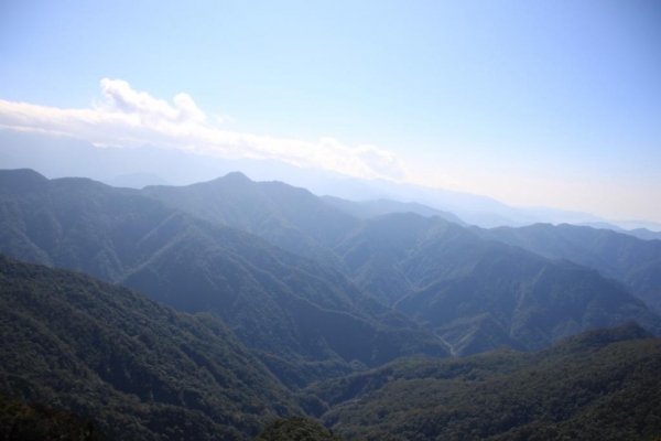 加里山賞雲海43434