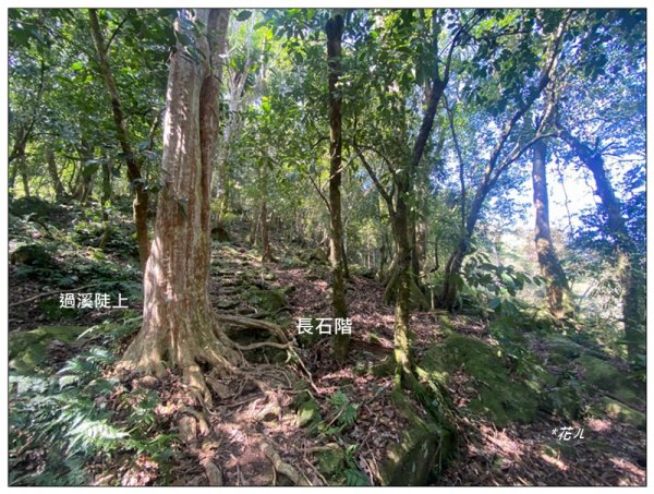 加里山前山隘勇線、騰龍山、橫龍山 連走3027661