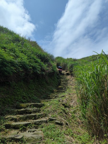 2025.04.27－金包里大路~小油坑縱走2770924