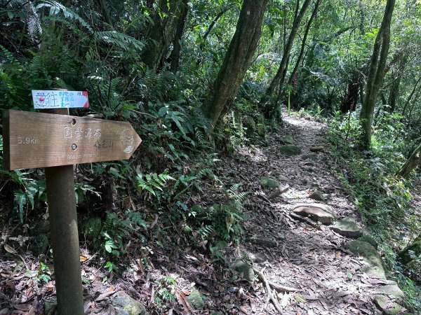 台北大縱走第四段2766848