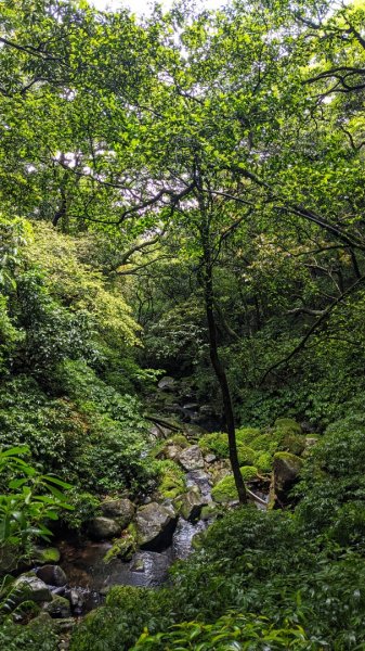 小觀音山西西峰 - 西峰 - 北峰935472