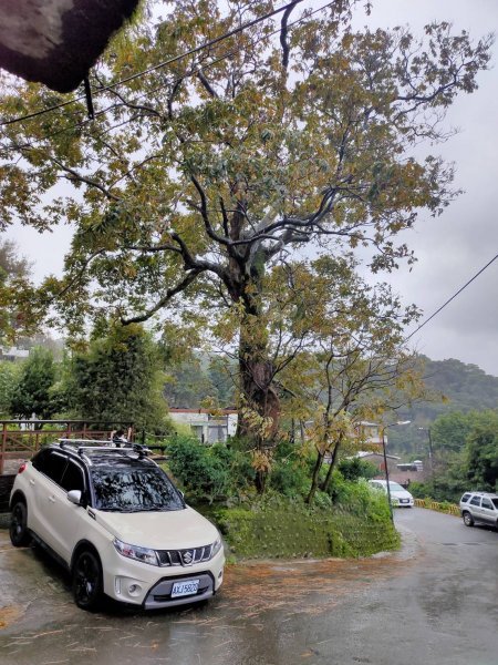 橫嶺古道 湖山國小步道1194190