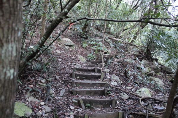 屋我尾山步道陡峭206456