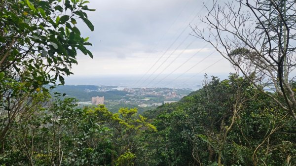 20250216貢寮山-水返港山-外文秀坑山-丹裡山2713222