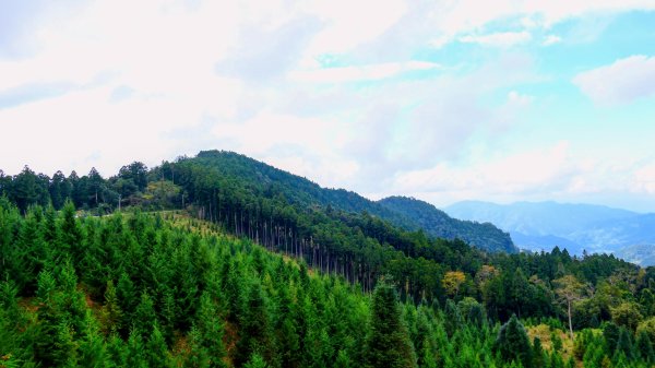 油羅山(一上三下)2959214