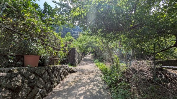 114.06.01溪山百年古圳-太平尾山+聖人崙之旅2801822