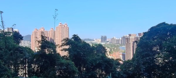 新店獅頭山(小獅山)步道2694737