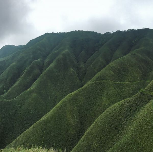 聖母山莊三角崙山初夏143576