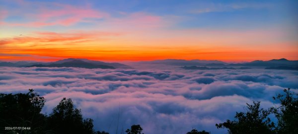 #石碇後山 #霞光 #日出 #雲海 #火燒雲 #魔目裳蛾 7/1&33080435