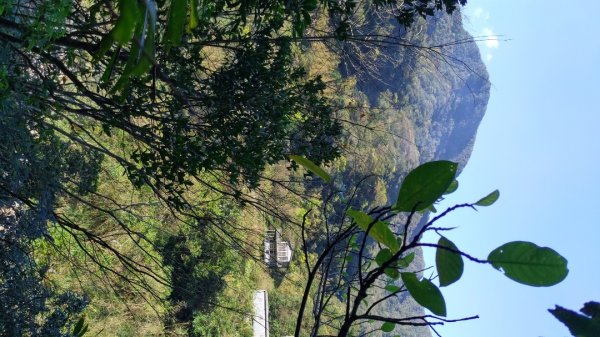 雙溪烏山古道東段大溪川古道2057848