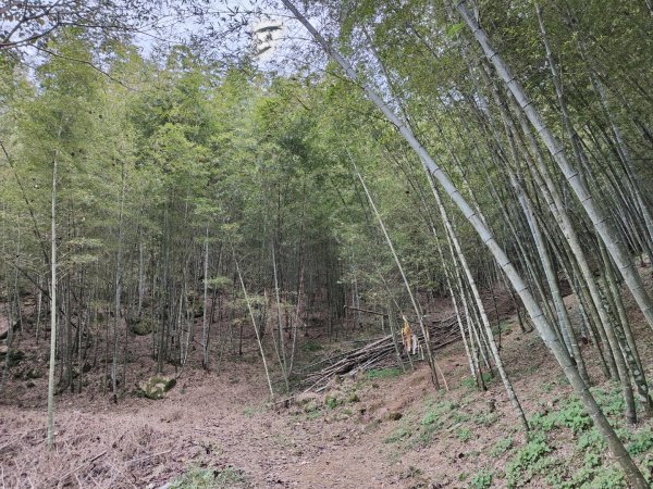 2023.12.27 大溪金面山2839320