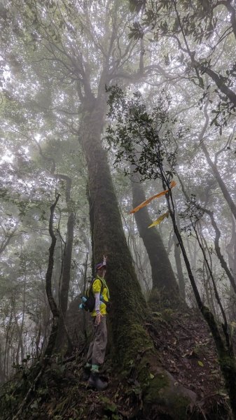 113.06.01魯壁山-東穗山之旅2529879