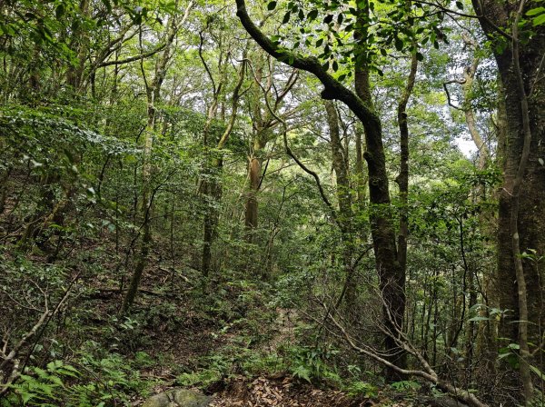 2025_0601 赫威山2802323