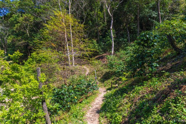 谷關七雄_唐麻丹山3015605