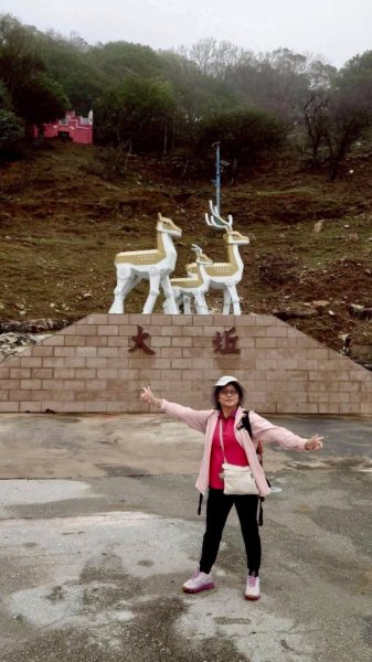 來去馬祖列島 Day 4-1 大坵島/無人島尋自由放飛梅花鹿3042866