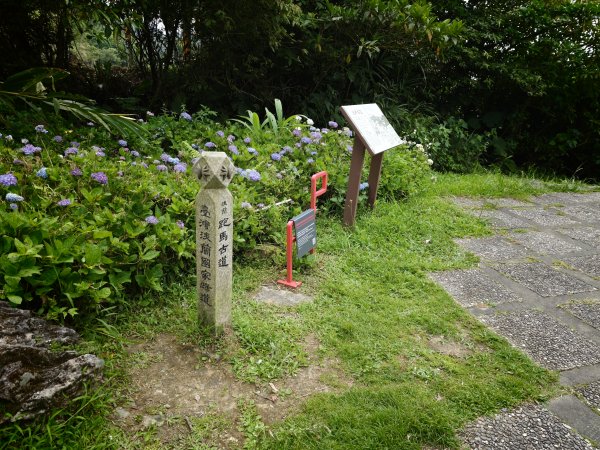 [淡蘭古道] 2026_0524 南路第五段_跑馬古道(上)-猴洞坑溪3070112