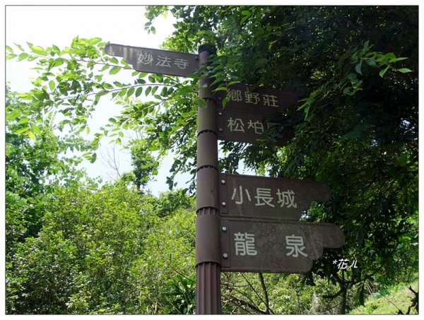 大甲/鐵砧山(小百岳)631026